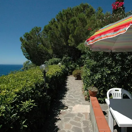Arlecchino * カポリーヴェリ