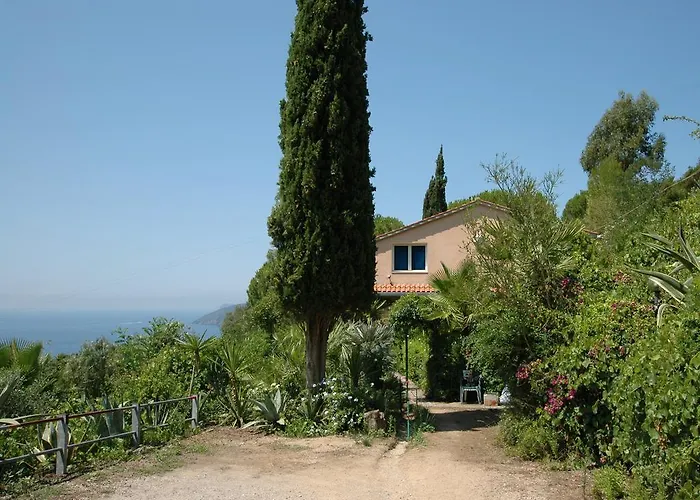 Arlecchino Capoliveri (Isola d'Elba)