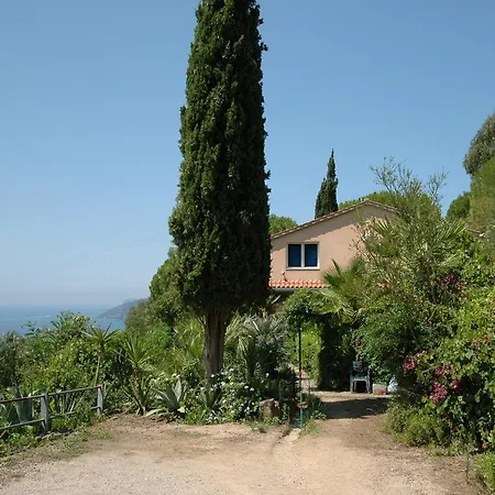 Arlecchino Capoliveri (Isola d'Elba)